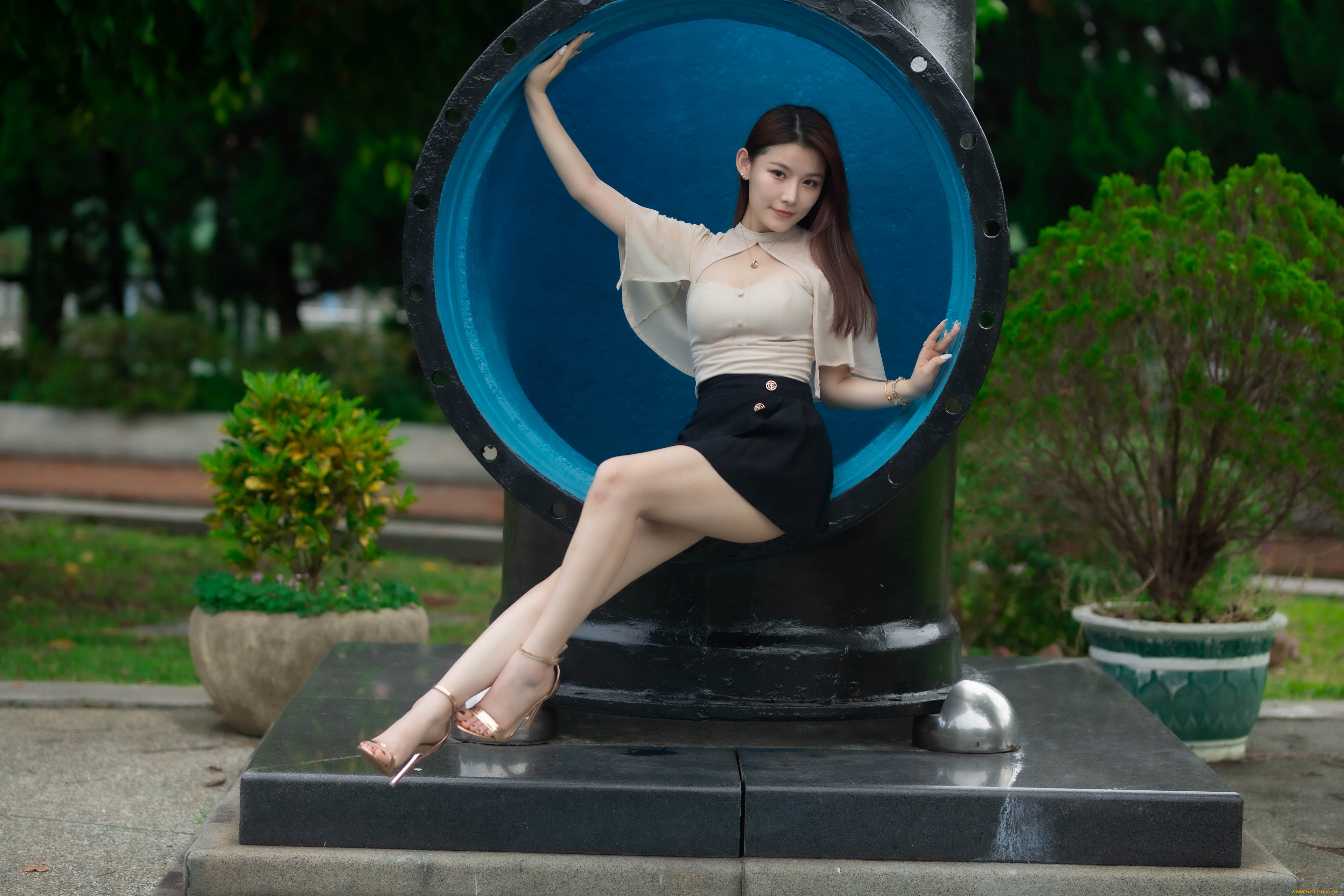 , - , , , , , , 